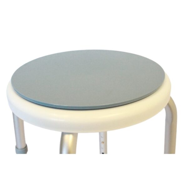 Bath stool with swivel seat