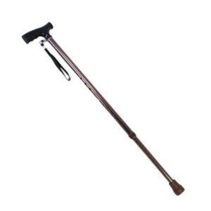 Winfar Mobility Bronze Walking Stick with T-Handle